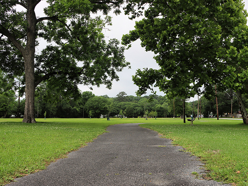 Armadale walking path
