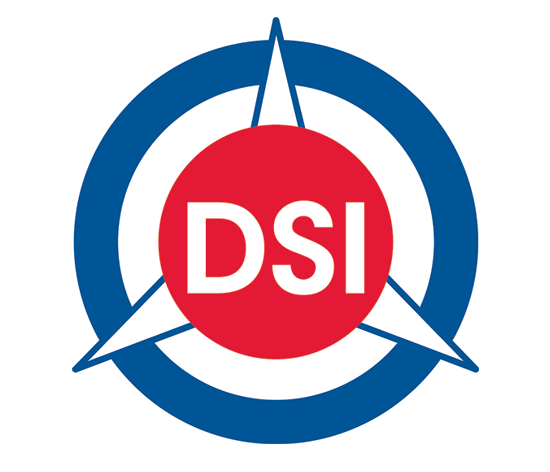DSI Logo