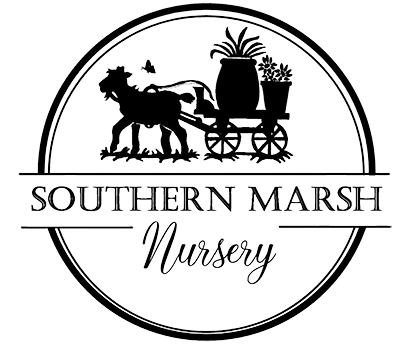 Southern Marsh Nursery